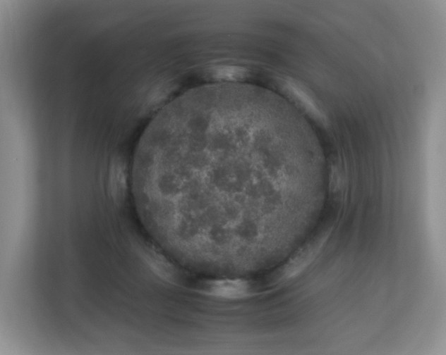 X0000110710363200906191552