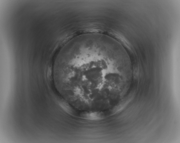 X0000110710365200906191552