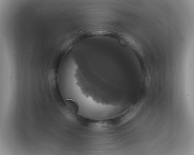 X0000110710366200906191552