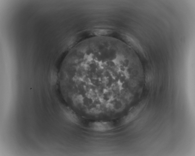 X0000110710367200906191552