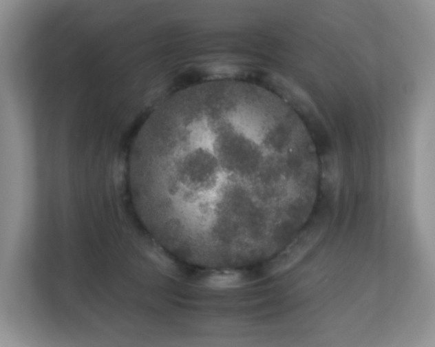 X0000110710369200906191552