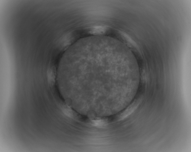 X0000110710370200906191552