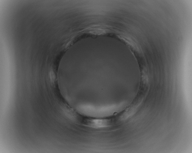 X0000110710371200906191552