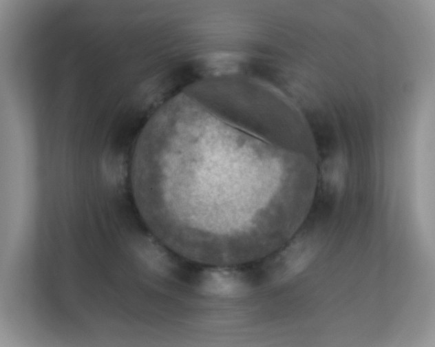 X0000110710372200906191552