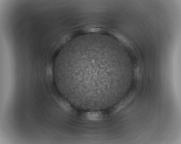 X0000110710373200906191552