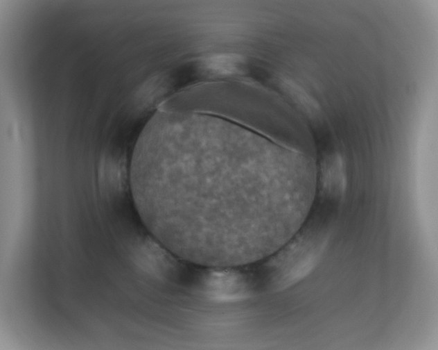 X0000110710376200906191552