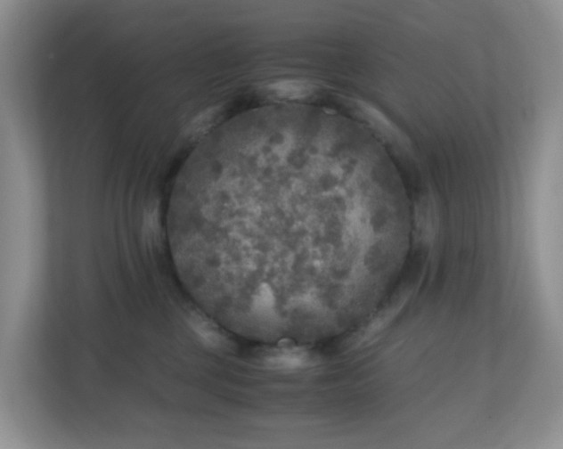 X0000110710377200906191552