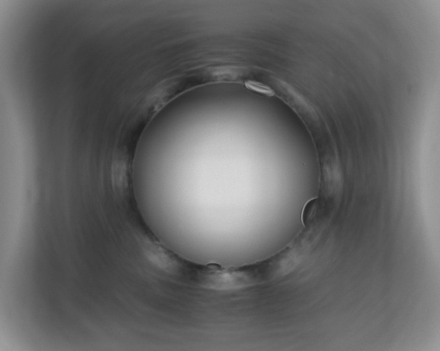 X0000110710379200906191552
