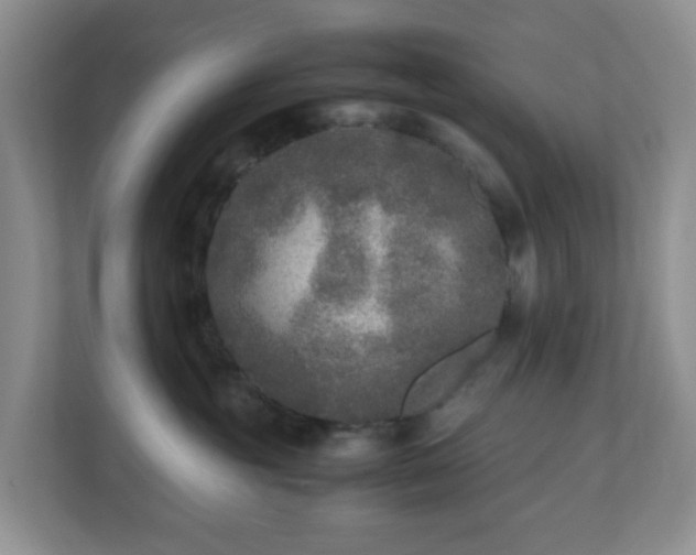 X0000110710381200906191552