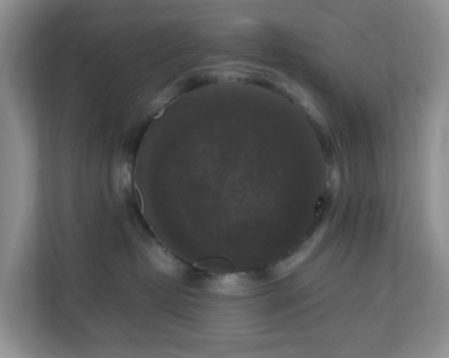 X0000110710382200906191552