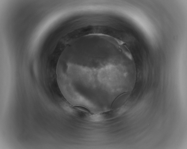 X0000110710383200906191552