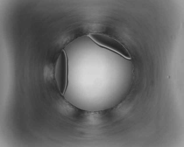 X0000110710384200906191552