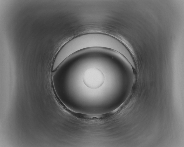 X0000110710385200906191552