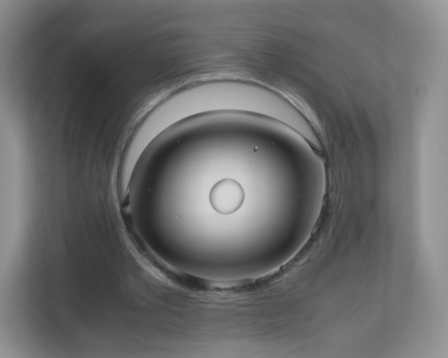 X0000110710389200906191552