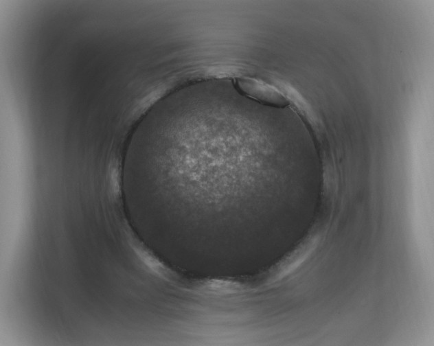 X0000110710393200906191552