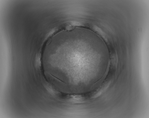 X0000110710395200906191552
