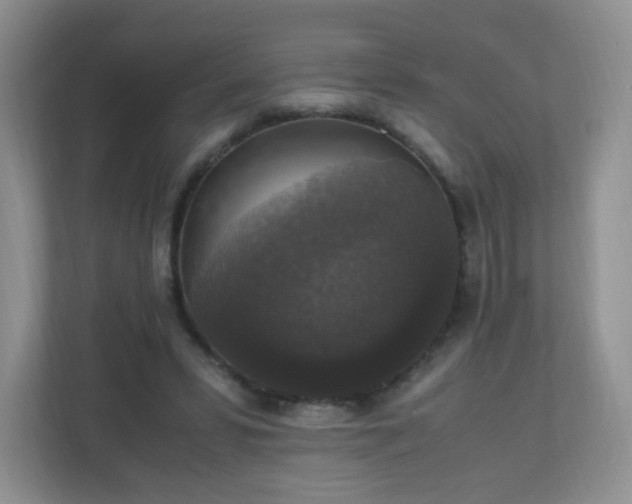X0000110710399200906191551
