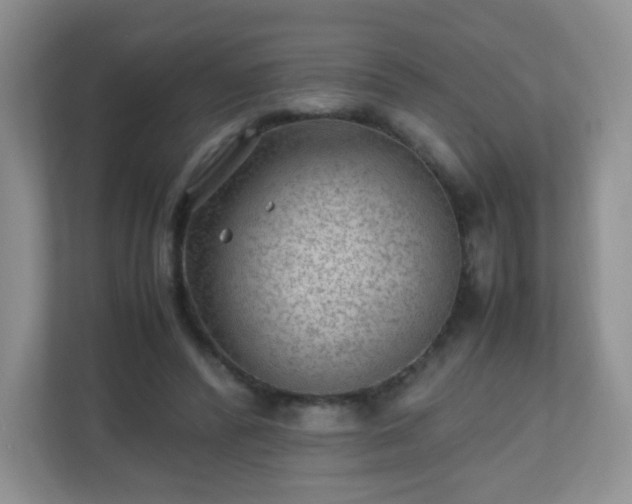 X0000110710400200906191551