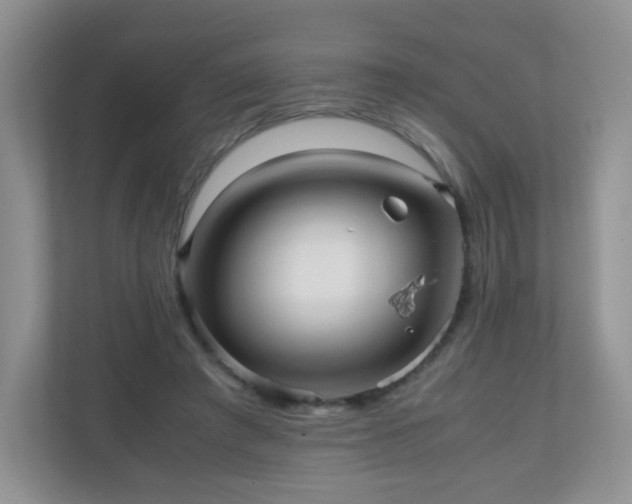 X0000110710401200906191551