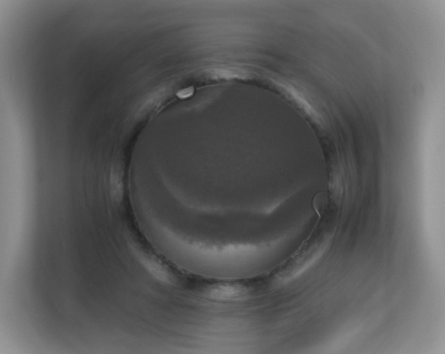 X0000110710402200906191551