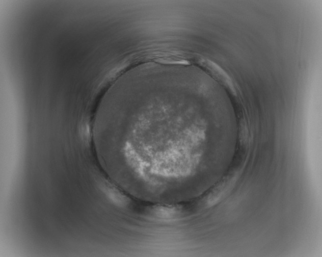 X0000110710405200906191551