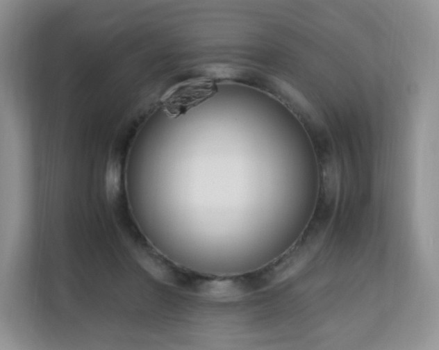 X0000110710406200906191551