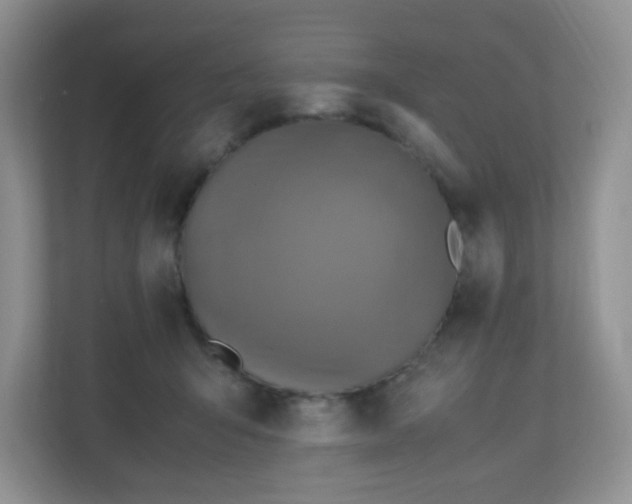 X0000110710415200906191551