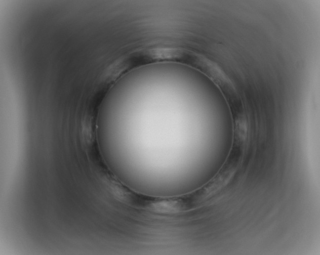 X0000110710422200906191551