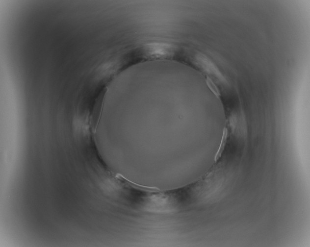 X0000110710423200906191551