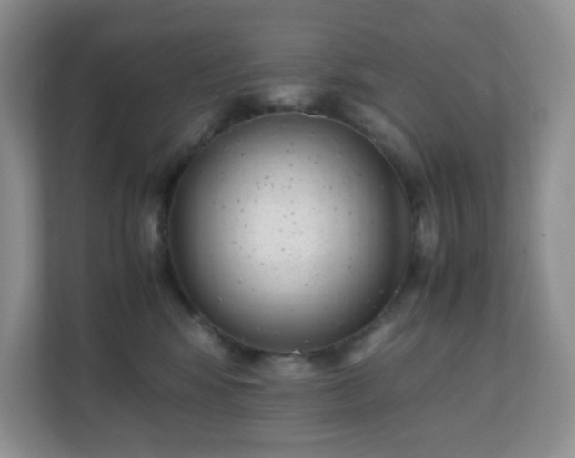 X0000110710424200906191551