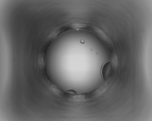 X0000110710426200906191551