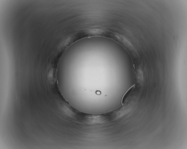 X0000110710428200906191551