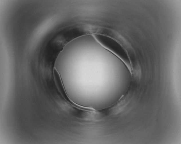 X0000110710429200906191551