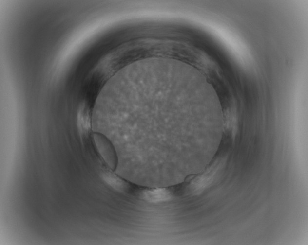 X0000110710431200906191551