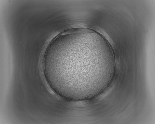 X0000110710433200906191550