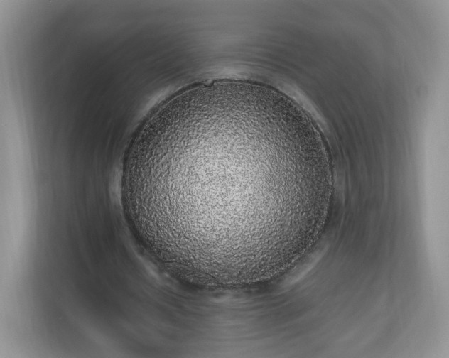 X0000110710434200906191550