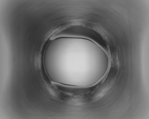 X0000110710436200906191550