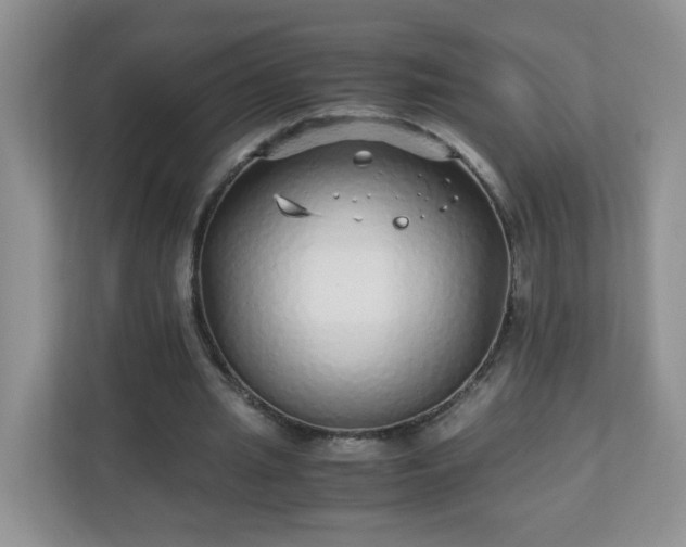 X0000110710437200906191550