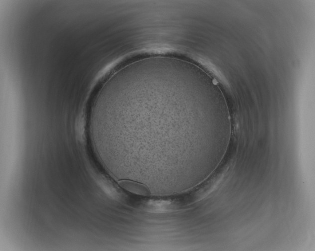 X0000110710440200906191551