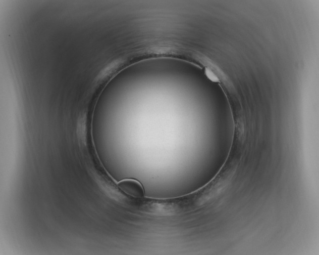 X0000110710442200906191551