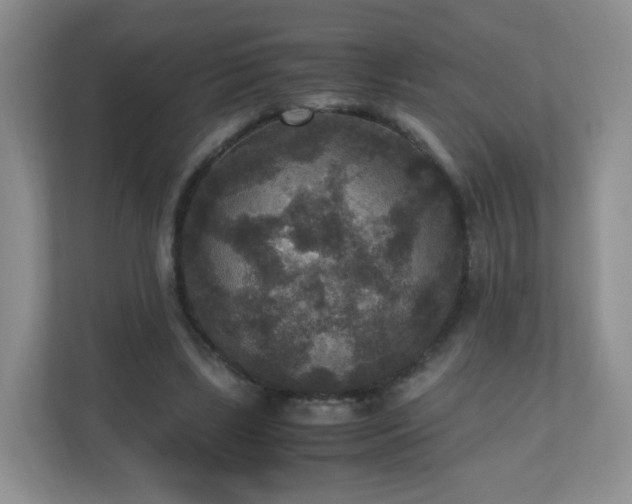 X0000110710443200906191551