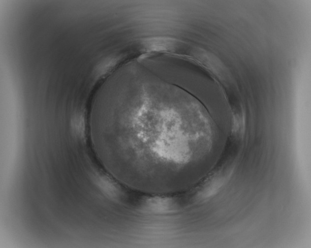 X0000110710444200906191551