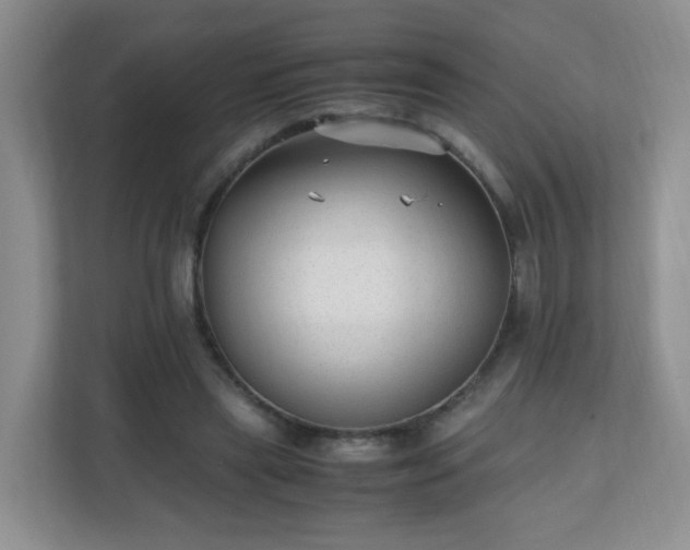 X0000110710445200906191551