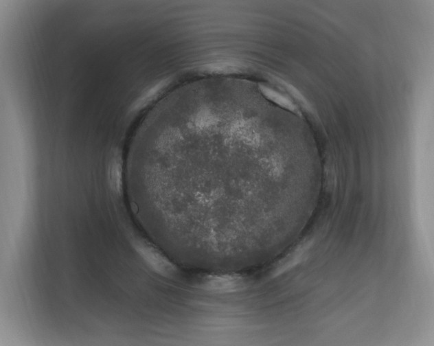X0000110710446200906191551
