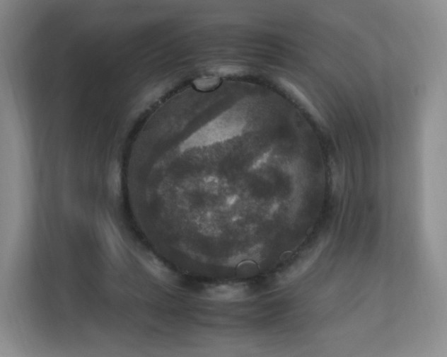 X0000110710447200906191551