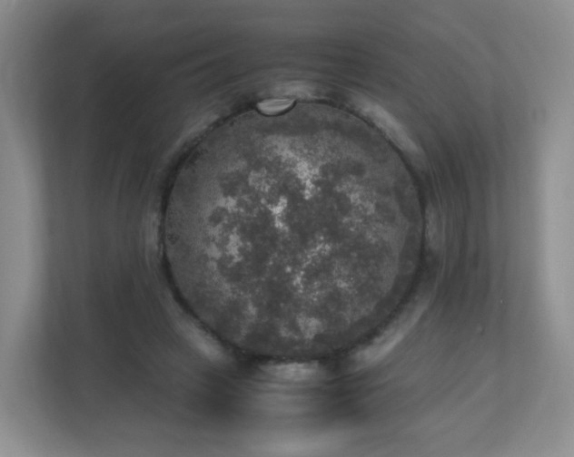X0000110710449200906191551