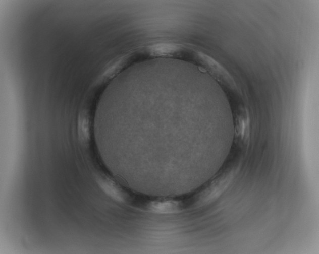 X0000110710452200906191551