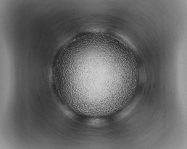 X0000110710453200906191551