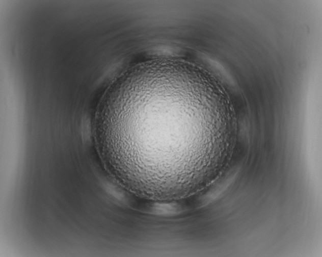 X0000110710457200906191551