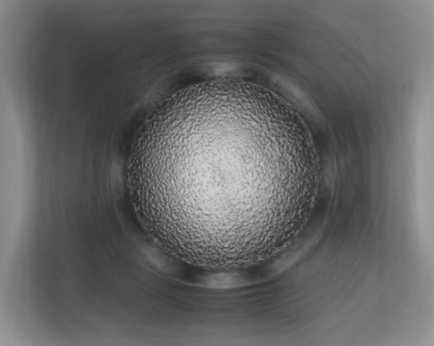 X0000110710461200906191551
